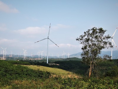 Sẽ đấu thầu lựa chọn nhà đầu tư dự án điện gió 1.688 tỷ đồng tại Quảng Trị 