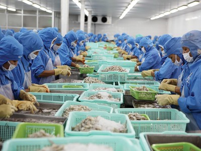 Doanh nghiệp thủy sản đang nỗ lực dịch chuyển thị trường xuất khẩu để giảm thiểu rủi ro từ thị trường Mỹ