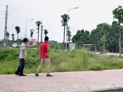 Phân khúc đất nền được nhiều nhà đầu tư quan tâm trong giai đoạn quý I/2025. Ảnh: Thanh Vũ