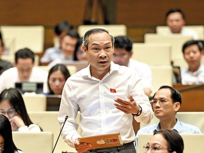 Đại biểu Phan Đức Hiếu, Ủy viên Ủy ban Kinh tế của Quốc hội phát biểu tại nghị trường 