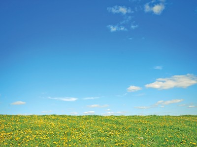 Nhà đầu tư nước ngoài vẫn dõi theo thị trường Việt Nam