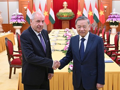 Tổng Bí thư Tô Lâm hội kiến Tổng thống Hungary Sulyok Tamás. Ảnh: Đức Thanh