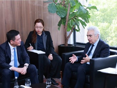 Cơ quan năng lượng quốc tế hỗ trợ Việt Nam đạt mục tiêu về chuyển dịch năng lượng 