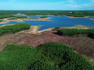 Quảng Trị chấm dứt dự án đầu tư của Công ty Sâm Cầm 