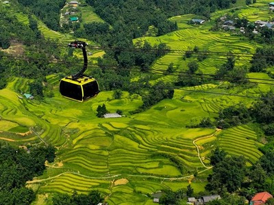 Công ty Cáp treo Fansipan công bố kết quả kinh doanh 2024