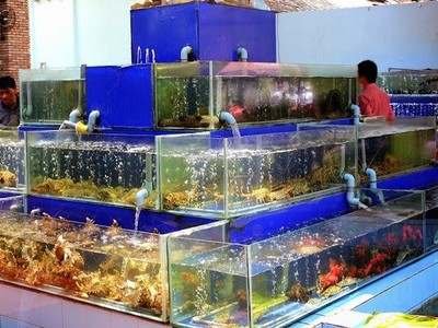 Bộ Tài chính: Có hộ kinh doanh đạt doanh thu lên đến 560 tỷ đồng/năm 