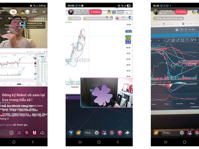 Chỉ cần tìm kiếm cụm từ “đầu tư chứng khoán”, người dùng có thể thấy hàng ngàn video ngắn, vô vàn TikTok livestream hàng ngày