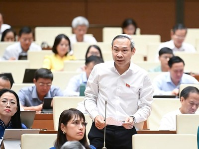 Đại biểu Phan Đức Hiếu (Thái Bình) tham gia thảo luận. 