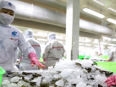 Kim ngạch xuất khẩu nông, thủy sản 5 tháng đầu năm đạt gần 17,7 tỷ USD, tăng 15,8% so với cùng kỳ năm ngoái. Ảnh: Lê Tiên