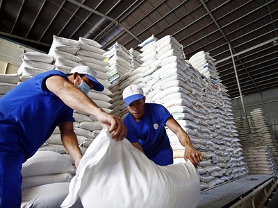 Số liệu của Bộ Nông nghiệp và Môi trường cho thấy, tỷ lệ gạo chất lượng cao của Việt Nam chiếm tới 89%.