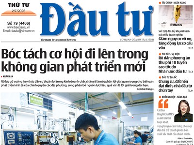 Báo Đầu tư số 79