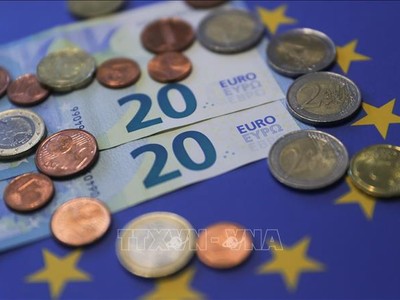 Đồng tiền giấy và xu mệnh giá 20 euro tại Brussels, Bỉ. Ảnh: THX/TTXVN