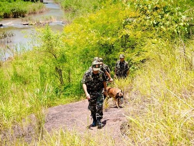 Tập trung đánh đúng, đánh trúng các đối tượng chủ mưu buôn lậu, gian lận thương mại 