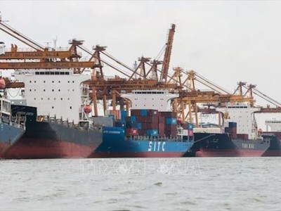 Cảng hàng hóa ở Bangkok, Thái Lan ngày 3/4/2025. Ảnh: REUTERS/TTXVN