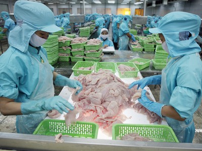 Xuất khẩu tôm, cá tra, gỗ đang phụ thuộc vào chính sách thuế đối ứng của Mỹ 
