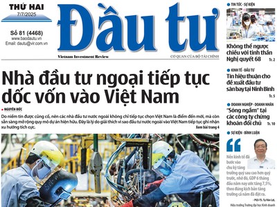 Báo Đầu tư số 81