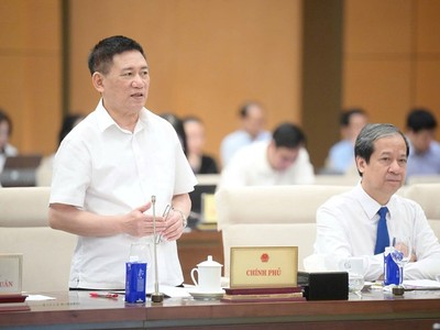 Phó thủ tướng Hồ Đức Phớc phát biểu tại phiên họp. 