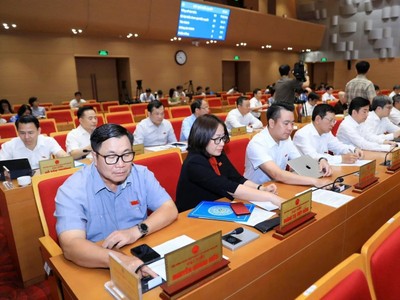 Các đại biểu nhấn nút tán thành danh mục đất dự kiến thực hiện dự án thí điểm. Ảnh: Phạm Hùng