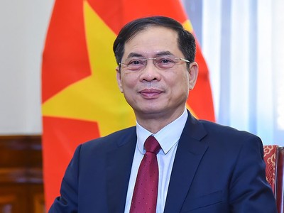 Phó Thủ tướng Chính phủ Bùi Thanh Sơn 