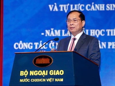 Phó thủ tướng, Bộ trưởng Bộ Ngoại giao Bùi Thanh Sơn. Ảnh: Đức Thanh