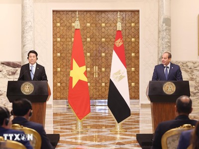 Chủ tịch nước Lương Cường và Tổng thống Ai Cập Abdel Fattah El-Sisi gặp gỡ báo chí để thông tin về kết quả hội đàm. Ảnh: TTXVN