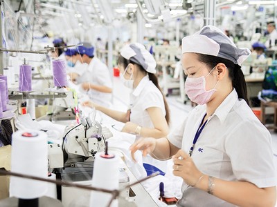 Doanh nghiệp thích ứng với thuế quan, tìm thị trường mới 