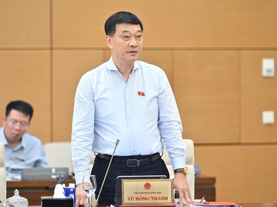 Phó chủ tịch Quốc hội Vũ Hồng Thanh phát biểu.