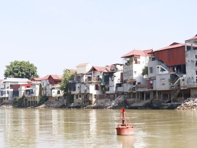 Hà Nội: Khẩn trương xử lý sự cố lún, nứt đê hữu Cầu và đê hữu Hồng 