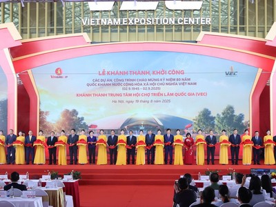 Cam kết phát triển 