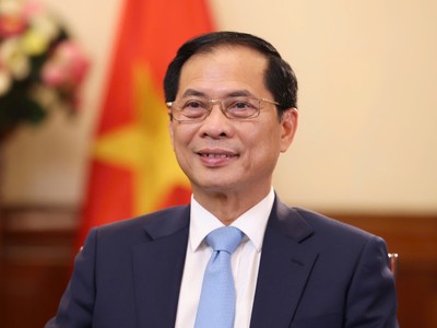 Phó Thủ tướng, Bộ trưởng Bộ Ngoại giao Bùi Thanh Sơn.