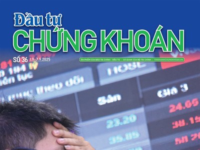 Báo Đầu tư Chứng khoán số 36