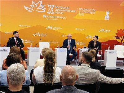 Các phiên thảo luận chuyên đề trong khuôn khổ Diễn đàn Kinh tế phương Đông lần thứ 10. Ảnh: Tâm Hằng/TTXVN