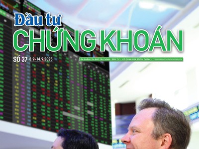 Báo Đầu tư Chứng khoán số 37
