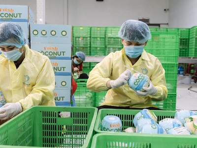 Doanh nghiệp Việt mở rộng thị trường nhờ chiến lược định vị thương hiệu 