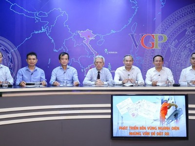 Chuyên gia: Giá điện cần "tính đúng, tính đủ" nhưng cũng phải "có lý, có tình" 