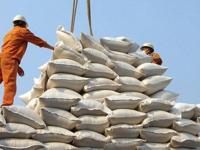 Thủ tướng chỉ đạo các Bộ ngành có giải pháp nhằm đa dạng hóa thị trường xuất khẩu gạo. 