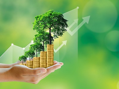 Thúc đẩy tài chính xanh, phát triển bền vững