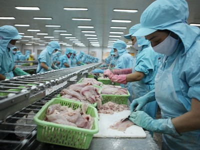 Từ ngày 7/8/2025, Mỹ áp thuế đối ứng 20% với thủy sản Việt Nam