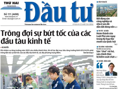 Báo Đầu tư số 111