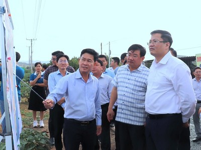 Đoàn công tác Bộ Tài chính khảo sát thực địa khu vực quy hoạch Dự án Nhà máy điện hạt nhân Ninh Thuận 1 tại xã Phước Dinh. Ảnh: Bảo Anh 