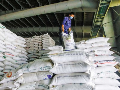 Các doanh nghiệp xuất khẩu gạo đã tận dụng cơ hội để mở rộng thị trường, nhưng sản lượng còn thấp. Ảnh: Đ.T 