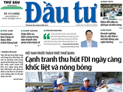 Báo Đầu tư số 113