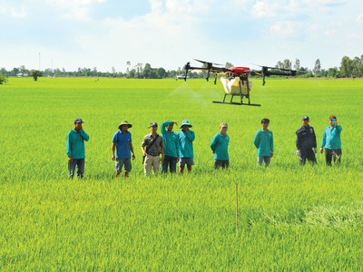 Nông nghiệp Việt đang tạo dựng vị thế vững chắc trên bản đồ nông sản thế giới