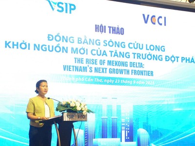 Đồng bằng sông Cửu Long - điểm đến chiến lược trong thu hút đầu tư 