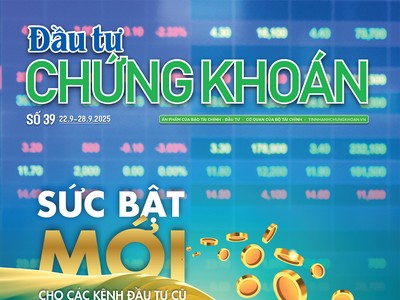 Báo Đầu tư Chứng khoán số 39