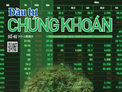 Báo Đầu tư Chứng khoán số 40