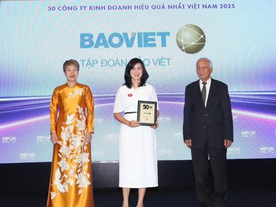 Bảo Việt (BVH): Top 50 Công ty kinh doanh hiệu quả nhất Việt Nam 2025