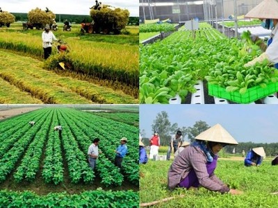 Chính phủ ban hành Nghị định mới về Quỹ hỗ trợ phát triển hợp tác xã.