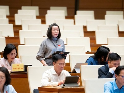 Đại biểu Nguyễn Minh Tâm tham gia thảo luận. 