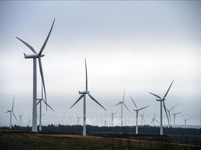 Nhà máy điện gió ở Eaglesham Moor, Scotland. Ảnh minh họa: AFP/TTXVN